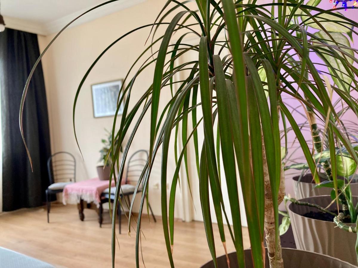 Terazije Square Lux Apartment Beograd Eksteriør bilde